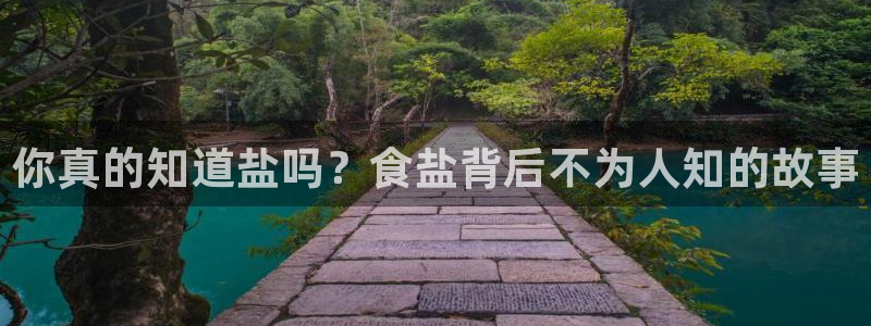 威九国际78mob游戏说明