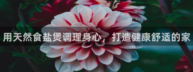 威九国际网站客服电话多少号码