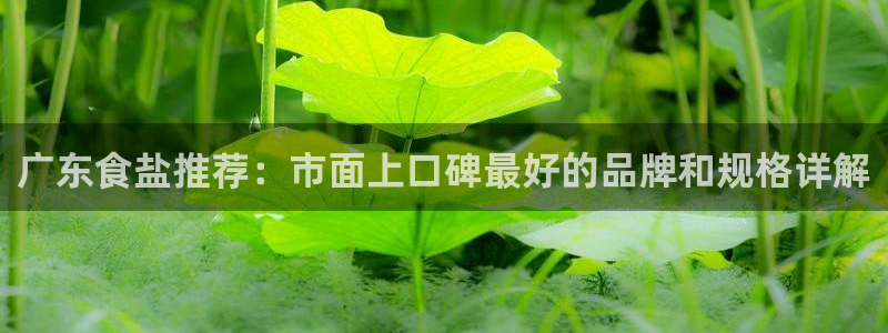 78mapp威九国际最新版