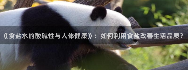 威九国际网站经常打不开