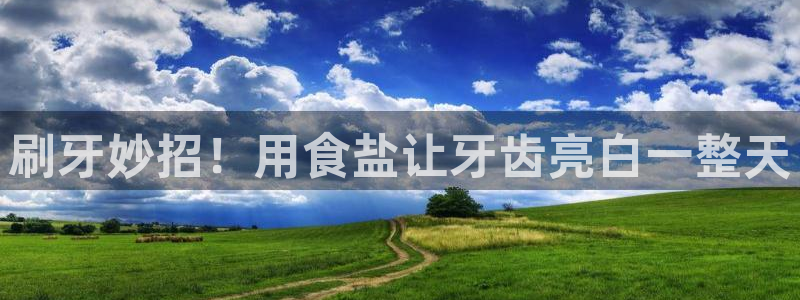 威九国际演员表