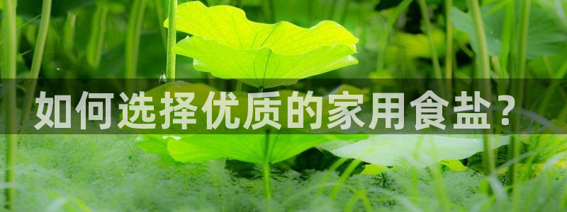 威九国际官网登录入口下载