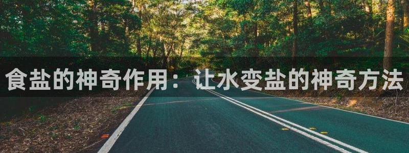 威九国际集团66m一6