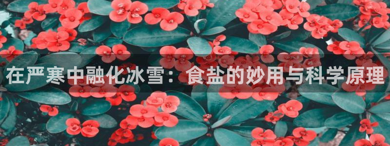 威九国际清砖码头在哪